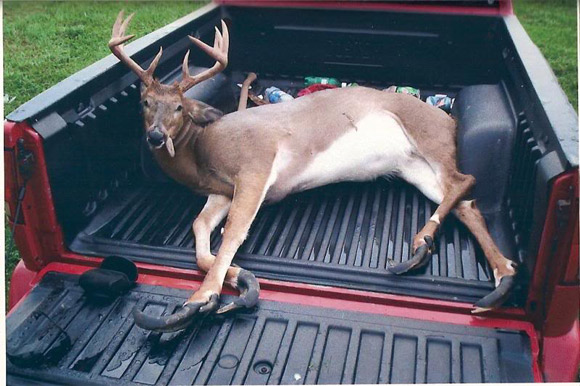 Swamp buck with elongated hooves